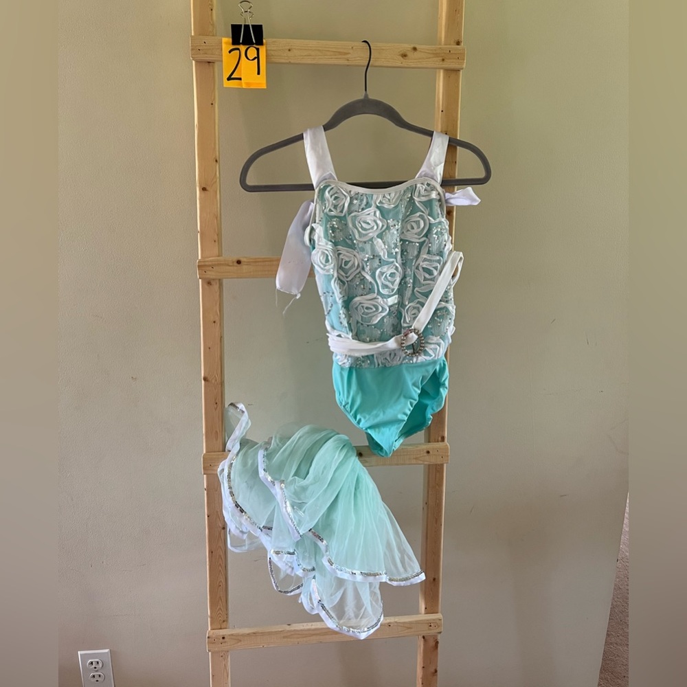 Dance Costumes - Picture 9 of 16
